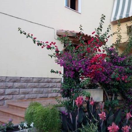 Bed and Breakfast Al Trentados Альгеро Экстерьер фото